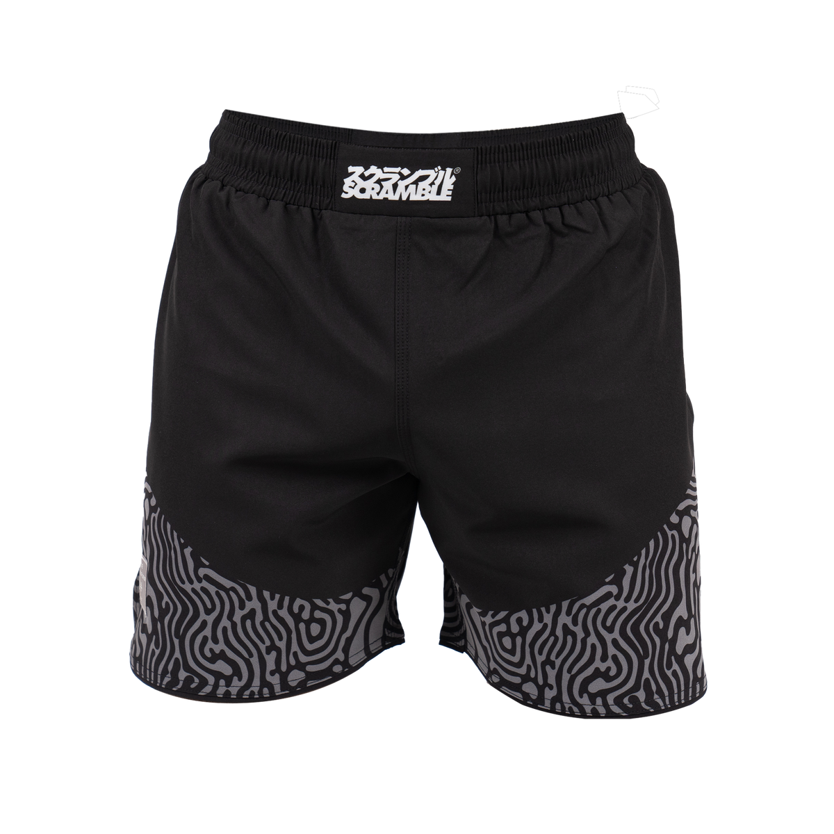 Senshu &#39;24 Shorts